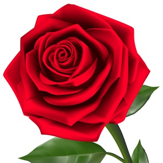 Telegram profile photo for Красотищща