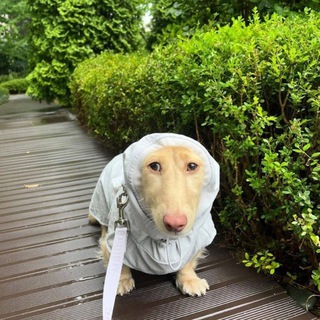Telegram profile photo for Luck issue