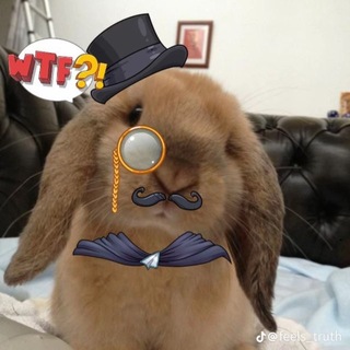 Telegram profile photo for ˖ ݁♬⋆.˚𝄞