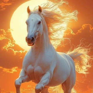 Telegram profile photo for 🏇⚜🔱Tulpor🔱⚜🎠🏇