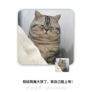 Telegram profile photo for 朝夕花语~💐 花艺 蛋糕 零食