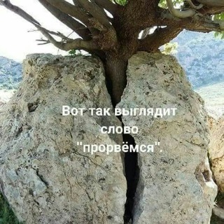Telegram profile photo for Конец частной собственности?