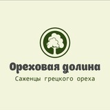 Telegram profile photo for Питомник орехоплодных культур