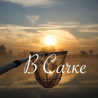 Telegram profile photo for В Сачке|Тут про Рыбалку