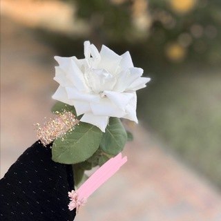Telegram profile photo for ﮼ذات،،الأثر 🍂.