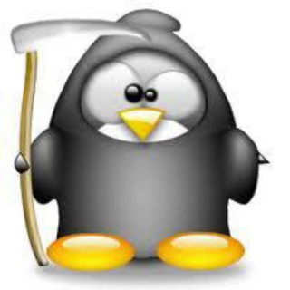 Telegram profile photo for wexov