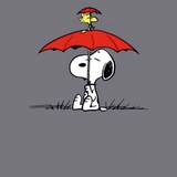 Telegram profile photo for BOR.SHOP.UZ.🥇