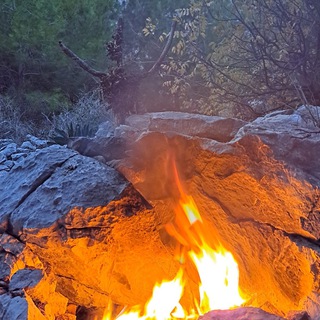 Telegram profile photo for Bilgülüş