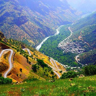 Telegram profile photo for کردمان