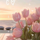 Telegram profile photo for ๐ป๐ธ๐ผ๐ฎ๐๐ช๐ฝ๐ฎ๐ป ๐ช๐ฟ๐ฎ๐ท๐พ๐ฎ.