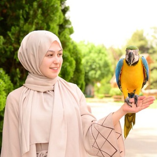 Telegram profile photo for 🇹🇷 تعلم اللغة التركية مع لينا