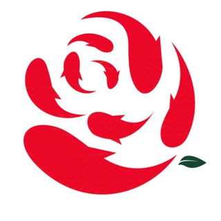 Telegram profile photo for Gardens & koi