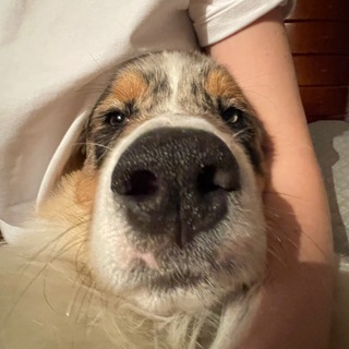 Telegram profile photo for Учим английский язык 🇺🇸 English Daily