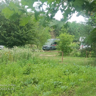Telegram group profile photo for Camp Oase Halogy / Ungarn / Auswandern / Plan B
