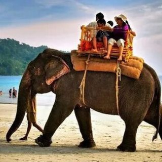 Telegram group profile photo for Таиланд - чат - барахолка - знакомства 🇹🇭