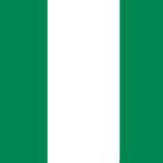 Telegram group profile photo for Nigeria Group for Universal basic Income