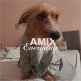 Telegram profile photo for amix everyday