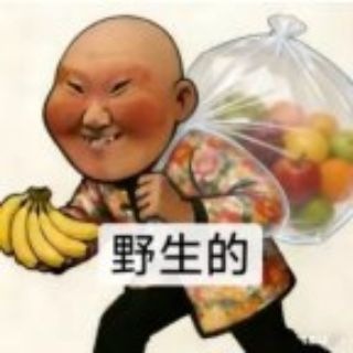 Telegram profile photo for 东北狗TV