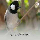 Telegram profile photo for کانال مخصوص بازی