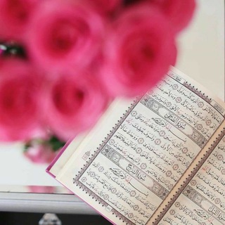Telegram profile photo for Mursalat - Qur'on kanali