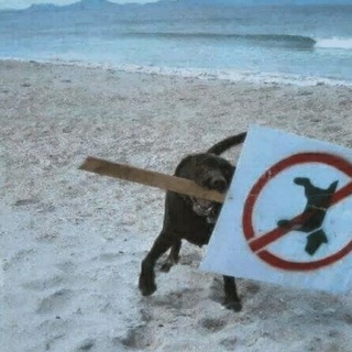 Telegram group profile photo for Truth Extra Chat