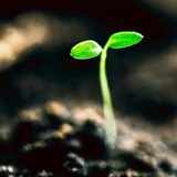 Telegram profile photo for بسوی توسعه
