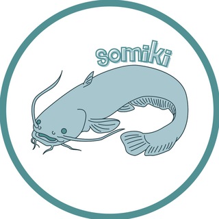 Telegram profile photo for somiki