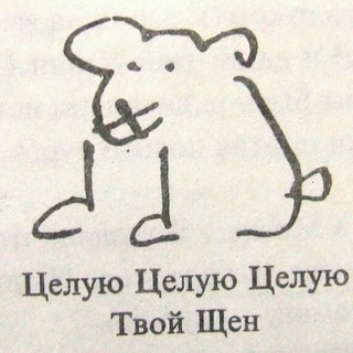Telegram profile photo for vms