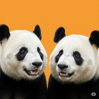 Telegram group profile photo for Чат Шалом Панда 🐼