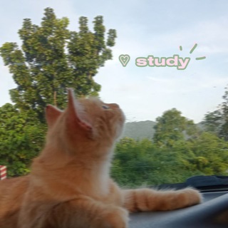 Telegram profile photo for ♡ S t u d y ˖