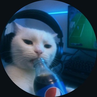 Telegram profile photo for BR0HAT🦞