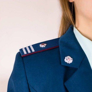 Telegram profile photo for Налоговый инспектор 3.0