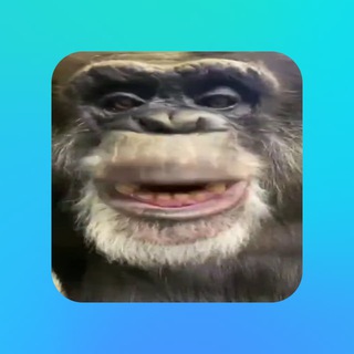Telegram profile photo for розыгрыши туннеля