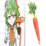 Telegram profile photo for Carrot and Gumi confession 🥕