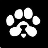 Telegram profile photo for MR Airdrop/PAWS
