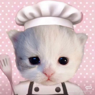 Telegram profile photo for archive