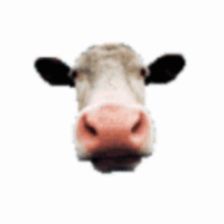 Telegram group profile photo for MEWK COMMUNITY
