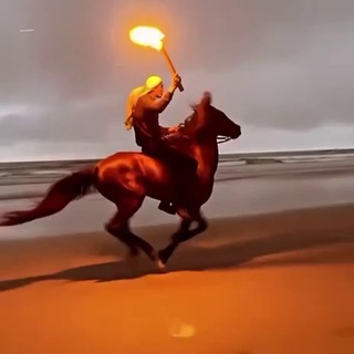 Telegram profile photo for Салман Рамазанов