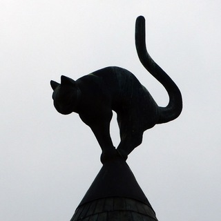 Telegram group profile photo for Русский чат Риги