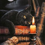 Telegram profile photo for Отзывы Холм Ши Викка Сегодня