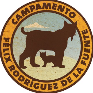 Telegram profile photo for Campamento Félix