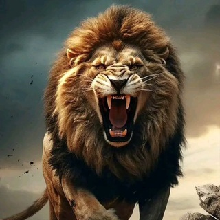 Telegram profile photo for ክርስቲያናዊ ወንድ