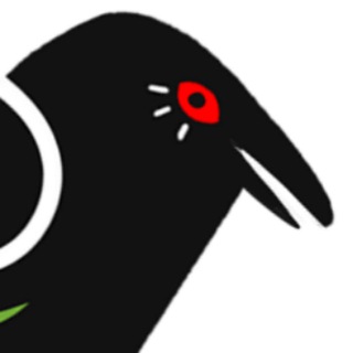 Telegram profile photo for ᴄᴧᴏйᴋᴀ ᴄ ᴛᴏᴋᴄиᴧиᴋᴏй