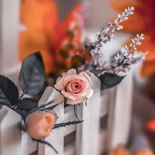 Telegram profile photo for 🌸🌸 فال روزانه پرى