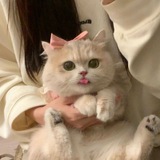 Telegram profile photo for 𝙼𝚎