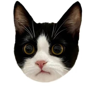 Telegram profile photo for 底特律没有爱