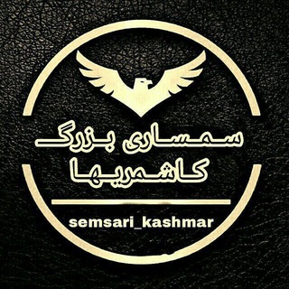 Telegram profile photo for ✳سمساری ڪاشمریا✳