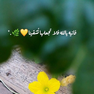 Telegram profile photo for وَلَا تَيْأَسُوا مِنْ رَوْحِ اللَّهِ🕊📮
