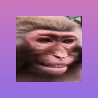 Telegram group profile photo for ЧАТ ЭКСПЕРТОВ | Pankoff crypto