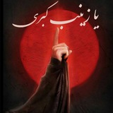 Telegram profile photo for محافظ کانال فدائیون زینب (س)